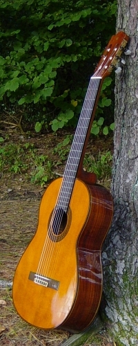 Naur und Gitarre - ein Einklang